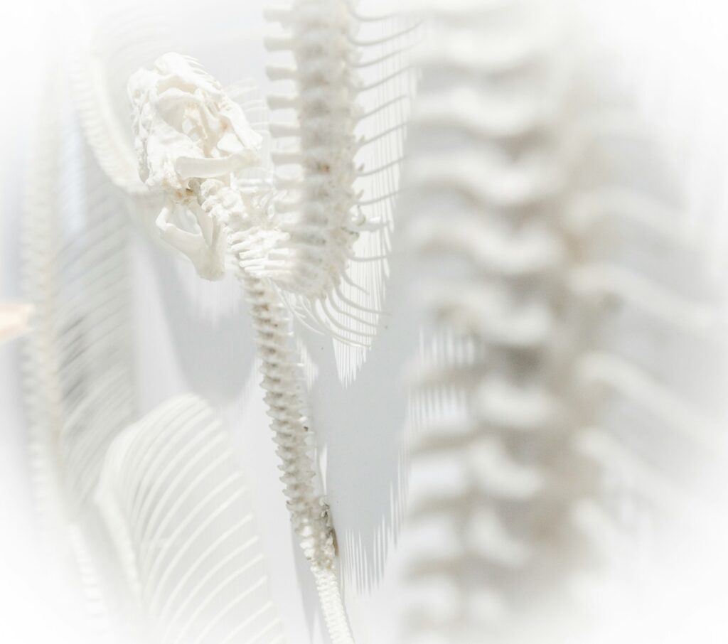 Spinal Stenosis Pain Relief